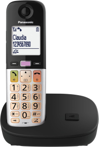 17414496869422-panasonickxtgu410exbcordlessdectgaranziaitalia