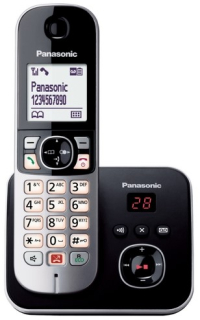 Panasonic